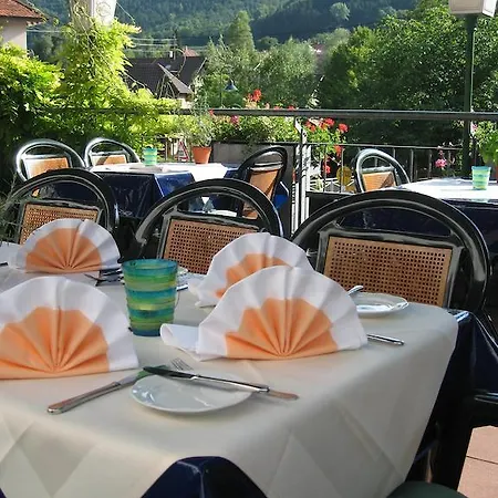 Otel Zum Adler - Wahlwies-3 Km Z Bodensee Geoeffnet - Rest-mo-di-geschl